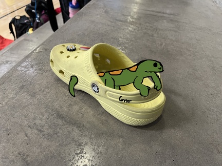 Gecko in a Croc